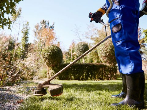 garden worker cutting grass