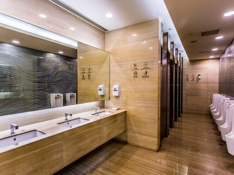 bathroom and toilet cleaning